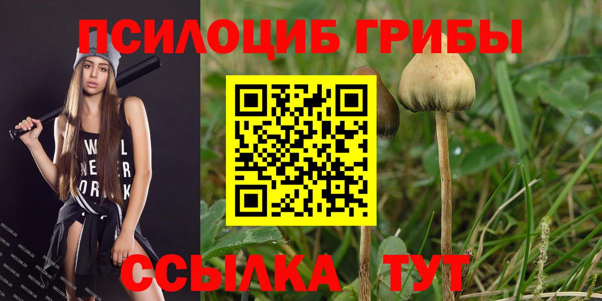 Псилоцибиновые грибы GOLDEN TEACHER  Вход с VPN  Псилоцибиновые грибы Psilocybine cubensis  Комсомольск-на-Амуре 